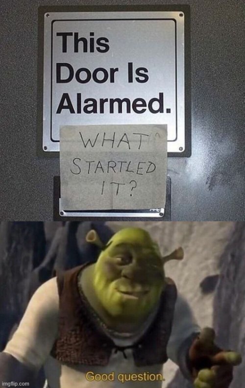 Good Question | image tagged in shrek good question,door,doors,alarm,questions | made w/ Imgflip meme maker