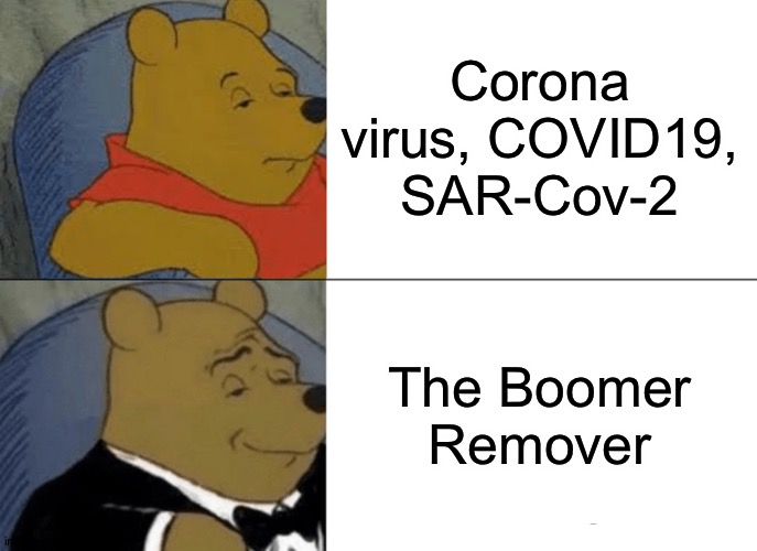 Tuxedo Winnie The Pooh Meme | Corona virus, COVID19, SAR-Cov-2; The Boomer Remover | image tagged in memes,tuxedo winnie the pooh | made w/ Imgflip meme maker
