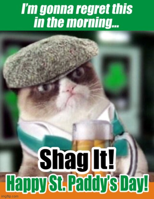 McGrumpy Cat - Shag It! :) | image tagged in memes,grumpy cat,st paddy's day,funny meme | made w/ Imgflip meme maker