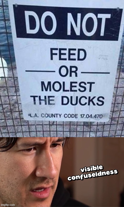 image tagged in visible confuseldness,what the hell happened here,feeding,ducks,oh dear | made w/ Imgflip meme maker