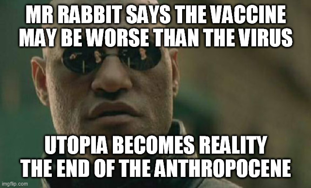 MR RABBIT SAYS THE VACCINE MAY BE WORSE THAN THE VIRUS UTOPIA BECOMES REALITY THE END OF THE ANTHROPOCENE | image tagged in memes,matrix morpheus | made w/ Imgflip meme maker