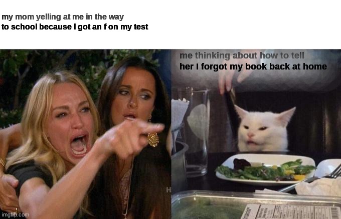 Woman Yelling At Cat Meme | my mom yelling at me in the way to school because I got an f on my test; me thinking about how to tell her I forgot my book back at home | image tagged in memes,woman yelling at cat | made w/ Imgflip meme maker
