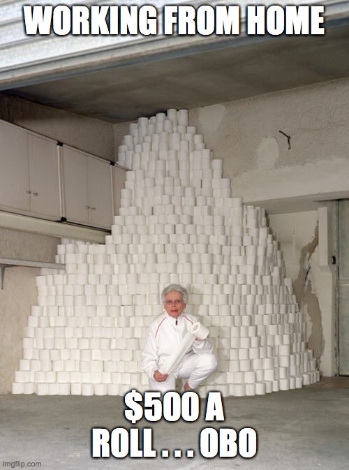 mountain of toilet paper | WORKING FROM HOME; $500 A ROLL . . . OBO | image tagged in mountain of toilet paper | made w/ Imgflip meme maker