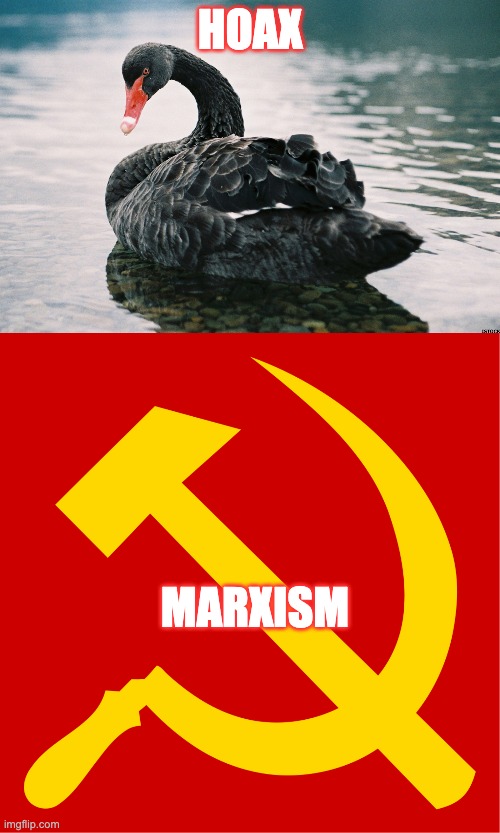 HOAX; MARXISM | image tagged in politics,coronavirus,stock market,marxism,economy,tyranny | made w/ Imgflip meme maker