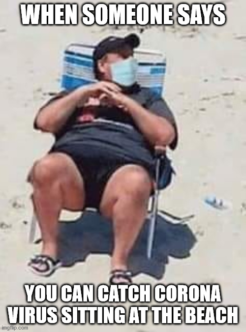 A Day At The Beach | WHEN SOMEONE SAYS; YOU CAN CATCH CORONA VIRUS SITTING AT THE BEACH | image tagged in beach,day at the beach,coronavirus | made w/ Imgflip meme maker