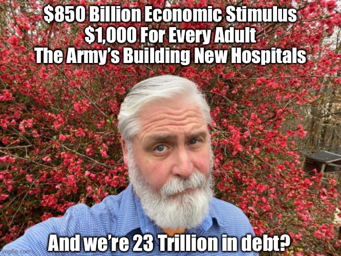 850 Billion Stimulus | $850 Billion Economic Stimulus
$1,000 For Every Adult
The Army’s Building New Hospitals; And we’re 23 Trillion in debt? | image tagged in coronavirus,economy,stimulus,debt,money,government | made w/ Imgflip meme maker