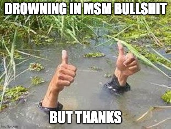 FLOODING THUMBS UP | DROWNING IN MSM BULLSHIT BUT THANKS | image tagged in flooding thumbs up | made w/ Imgflip meme maker