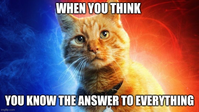 The Answer | WHEN YOU THINK; YOU KNOW THE ANSWER TO EVERYTHING | image tagged in the answer | made w/ Imgflip meme maker