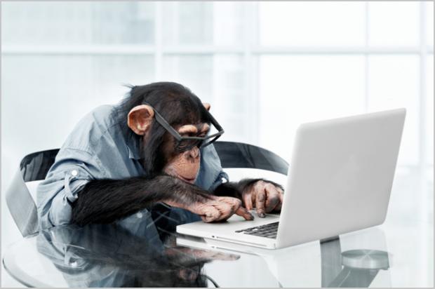 monkey-laptop Blank Meme Template