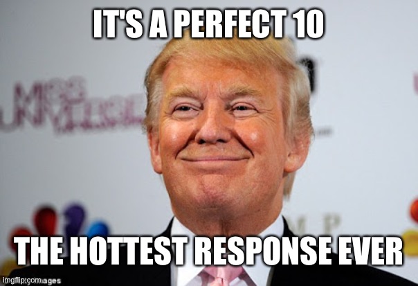 Donald trump approves | IT'S A PERFECT 10 THE HOTTEST RESPONSE EVER | image tagged in donald trump approves | made w/ Imgflip meme maker