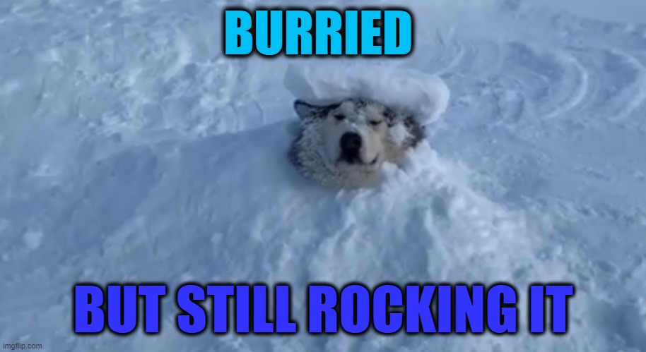 BURRIED; BUT STILL ROCKING IT | image tagged in burried | made w/ Imgflip meme maker