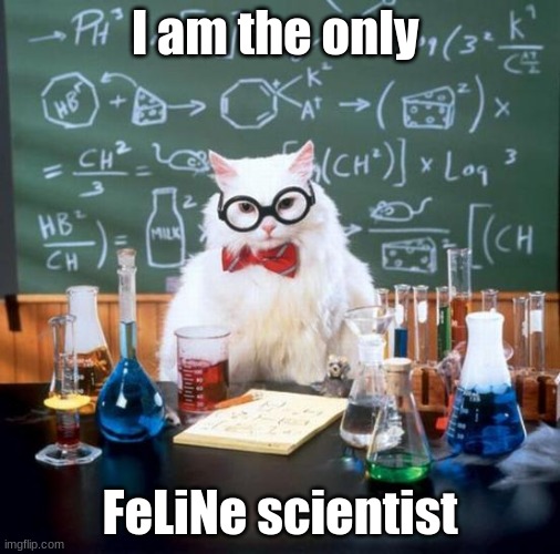 Chemistry Cat Meme | I am the only; FeLiNe scientist | image tagged in memes,chemistry cat | made w/ Imgflip meme maker