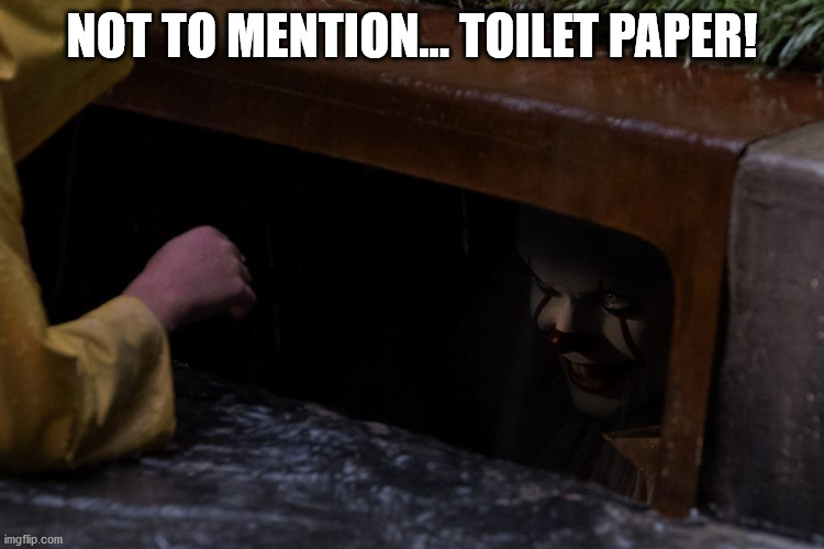 It Drain Scene | NOT TO MENTION... TOILET PAPER! | image tagged in it drain scene | made w/ Imgflip meme maker