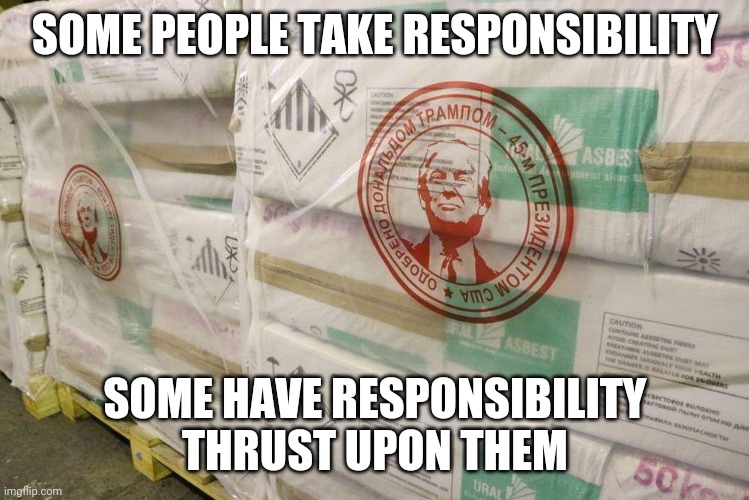 Russian asbestos | SOME PEOPLE TAKE RESPONSIBILITY SOME HAVE RESPONSIBILITY THRUST UPON THEM | image tagged in russian asbestos | made w/ Imgflip meme maker