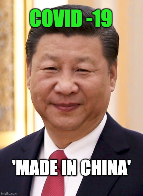 MADE IN CHINA | COVID -19; 'MADE IN CHINA' | image tagged in covid-19 | made w/ Imgflip meme maker