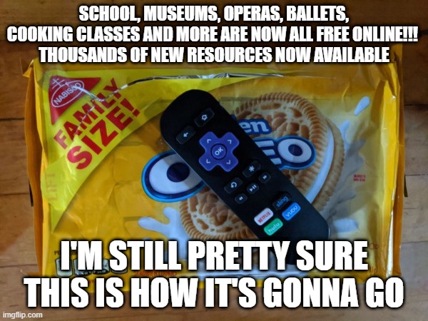 Cookies and remotes | SCHOOL, MUSEUMS, OPERAS, BALLETS, COOKING CLASSES AND MORE ARE NOW ALL FREE ONLINE!!! 
THOUSANDS OF NEW RESOURCES NOW AVAILABLE; I'M STILL PRETTY SURE THIS IS HOW IT'S GONNA GO | image tagged in coronavirus | made w/ Imgflip meme maker