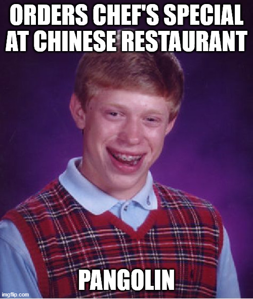 Bad Luck Brian Meme | ORDERS CHEF'S SPECIAL AT CHINESE RESTAURANT; PANGOLIN | image tagged in memes,bad luck brian | made w/ Imgflip meme maker