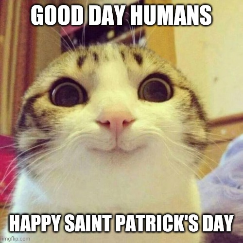 Smiling Cat Meme | GOOD DAY HUMANS; HAPPY SAINT PATRICK'S DAY | image tagged in memes,smiling cat,cats,saint patrick's day,cat memes | made w/ Imgflip meme maker