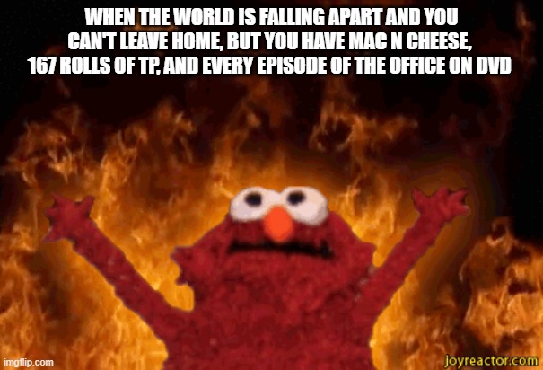 burning elmo | WHEN THE WORLD IS FALLING APART AND YOU CAN'T LEAVE HOME, BUT YOU HAVE MAC N CHEESE, 
167 ROLLS OF TP, AND EVERY EPISODE OF THE OFFICE ON DVD | image tagged in burning elmo | made w/ Imgflip meme maker