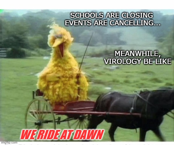 Big Bird in Carriage | SCHOOLS ARE CLOSING 
EVENTS ARE CANCELLING... MEANWHILE, VIROLOGY BE LIKE; WE RIDE AT DAWN | image tagged in big bird in carriage,covid,corona,virology | made w/ Imgflip meme maker
