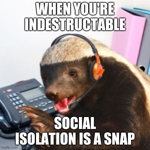 Honey badger | WHEN YOU'RE INDESTRUCTABLE; SOCIAL ISOLATION IS A SNAP | image tagged in honey badger | made w/ Imgflip meme maker