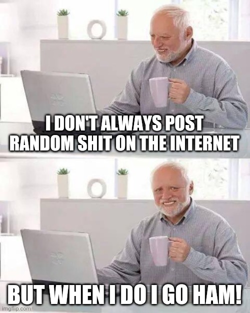 Hide the Pain Harold Meme | I DON'T ALWAYS POST RANDOM SHIT ON THE INTERNET; BUT WHEN I DO I GO HAM! | image tagged in memes,hide the pain harold | made w/ Imgflip meme maker