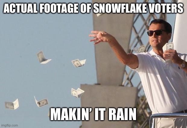 Democrats: We’re either snowflakes or we make it rain | ACTUAL FOOTAGE OF SNOWFLAKE VOTERS; MAKIN’ IT RAIN | image tagged in wolf of wall street money,snowflakes,special snowflake,democrats,money,taxes | made w/ Imgflip meme maker
