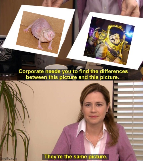 They're The Same Picture | image tagged in spot the difference | made w/ Imgflip meme maker