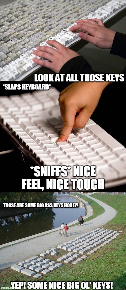 keyboard memes | LOOK AT ALL THOSE KEYS; *SLAPS KEYBOARD*; *SNIFFS* NICE FEEL, NICE TOUCH; THOSE ARE SOME BIG ASS KEYS HONEY! YEP! SOME NICE BIG OL' KEYS! | image tagged in meanwhile on imgflip | made w/ Imgflip meme maker