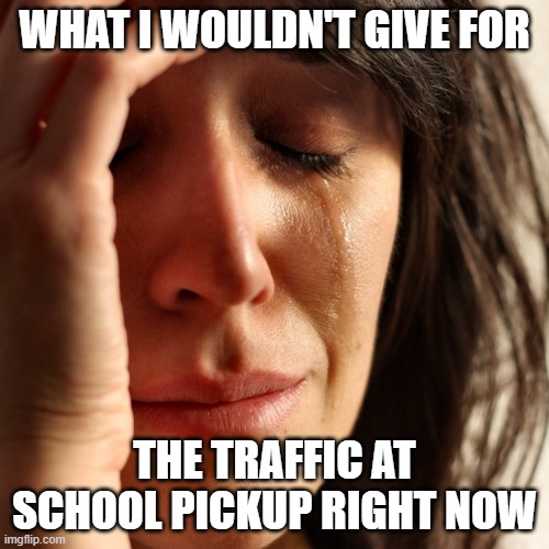 Crying Woman | WHAT I WOULDN'T GIVE FOR; THE TRAFFIC AT SCHOOL PICKUP RIGHT NOW | image tagged in crying woman | made w/ Imgflip meme maker