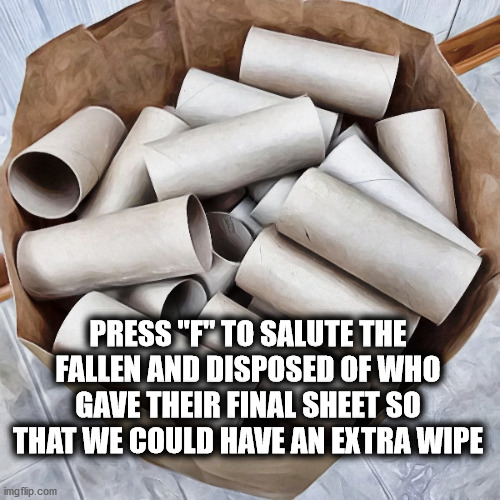 Press F for the toilet rolls. | PRESS "F" TO SALUTE THE FALLEN AND DISPOSED OF WHO GAVE THEIR FINAL SHEET SO THAT WE COULD HAVE AN EXTRA WIPE | image tagged in empty toilet rolls,tp,toilet paper,toilet,press f to pay respects | made w/ Imgflip meme maker