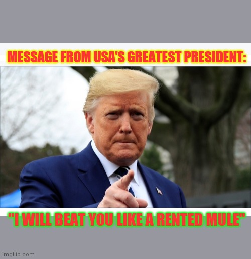 Attention "Never-Trumpers" | MESSAGE FROM USA'S GREATEST PRESIDENT:; "I WILL BEAT YOU LIKE A RENTED MULE" | image tagged in funny,president trump,liberal logic,that would be great,democratic socialism | made w/ Imgflip meme maker