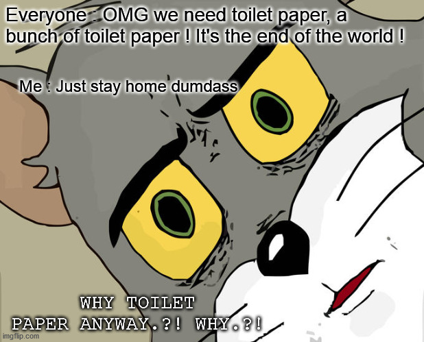 toilet paper | Everyone : OMG we need toilet paper, a bunch of toilet paper ! It's the end of the world ! Me : Just stay home dumdass; WHY TOILET PAPER ANYWAY.?! WHY.?! | image tagged in memes,unsettled tom | made w/ Imgflip meme maker