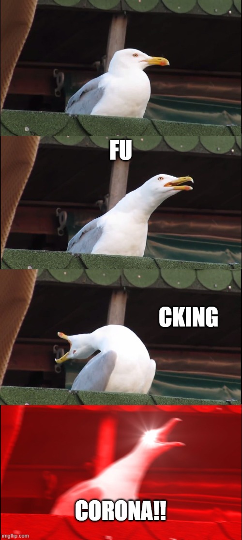 Inhaling Seagull Meme | FU; CKING; CORONA!! | image tagged in memes,inhaling seagull | made w/ Imgflip meme maker
