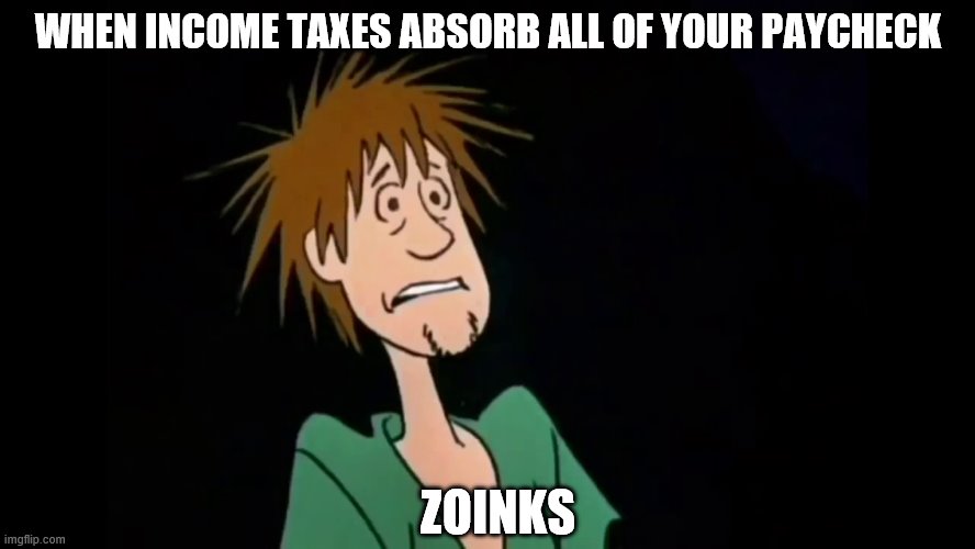Zoinks | WHEN INCOME TAXES ABSORB ALL OF YOUR PAYCHECK; ZOINKS | image tagged in zoinks | made w/ Imgflip meme maker