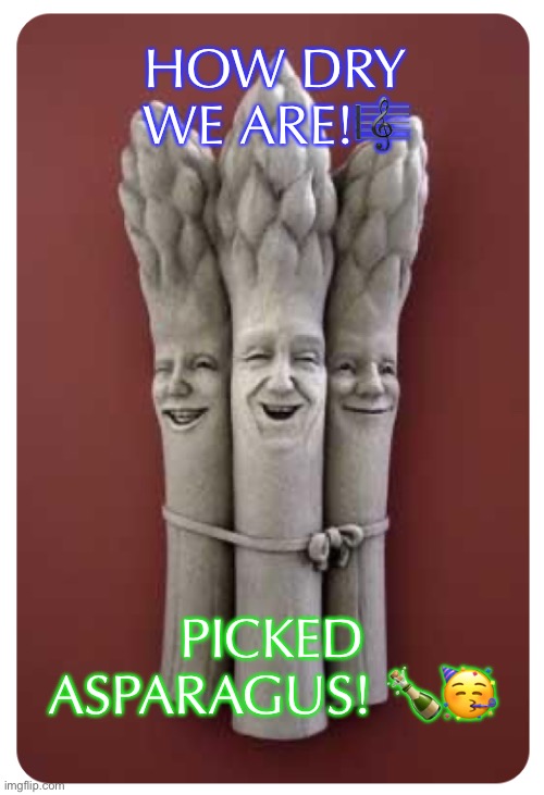 Pickled asparagus ? | HOW DRY WE ARE!🎼; PICKED ASPARAGUS! 🍾🥳 | image tagged in funny memes,party | made w/ Imgflip meme maker