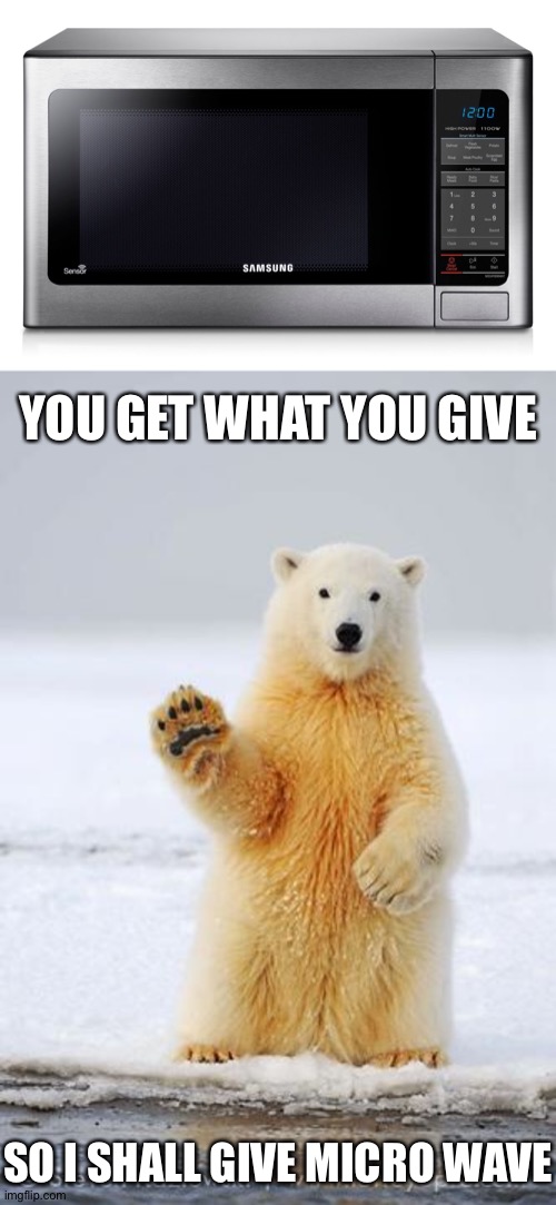 Polar Bear Want Microwave | YOU GET WHAT YOU GIVE; SO I SHALL GIVE MICRO WAVE | image tagged in hello polar bear,microwave,adele hello,polar bear,giving | made w/ Imgflip meme maker