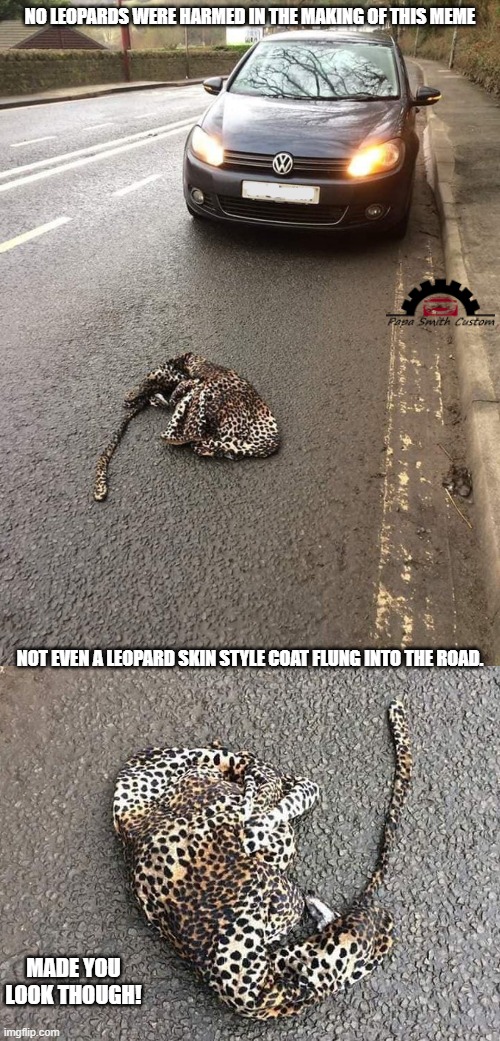 Escaped from the zoo - Nothing! | NO LEOPARDS WERE HARMED IN THE MAKING OF THIS MEME; NOT EVEN A LEOPARD SKIN STYLE COAT FLUNG INTO THE ROAD. MADE YOU LOOK THOUGH! | image tagged in leopard,cars,car memes,roads,zoo,clothing | made w/ Imgflip meme maker
