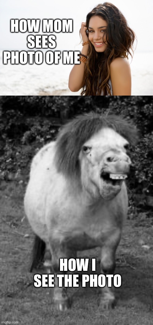 HOW MOM SEES PHOTO OF ME; HOW I SEE THE PHOTO | image tagged in ugly horse,beautiful girl | made w/ Imgflip meme maker
