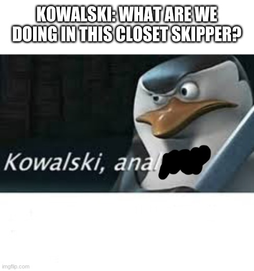 Kawalski Analysis | KOWALSKI: WHAT ARE WE DOING IN THIS CLOSET SKIPPER? | image tagged in kawalski analysis | made w/ Imgflip meme maker