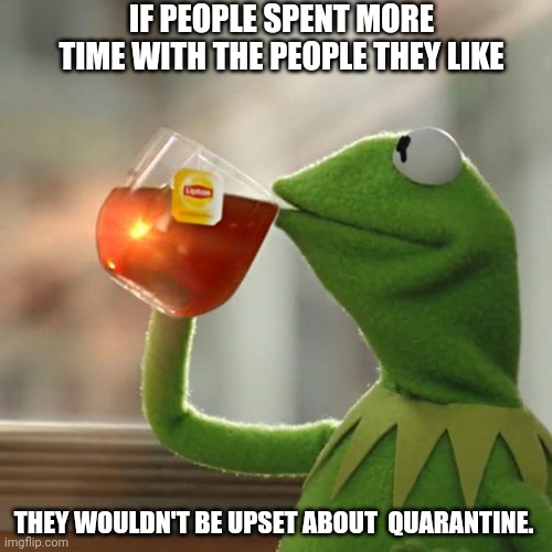 But That's None Of My Business Meme | IF PEOPLE SPENT MORE TIME WITH THE PEOPLE THEY LIKE THEY WOULDN'T BE UPSET ABOUT  QUARANTINE. | image tagged in memes,but thats none of my business,kermit the frog | made w/ Imgflip meme maker