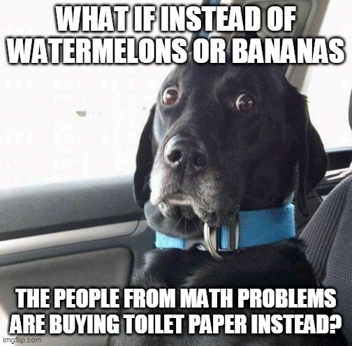 suprised dog | WHAT IF INSTEAD OF WATERMELONS OR BANANAS; THE PEOPLE FROM MATH PROBLEMS ARE BUYING TOILET PAPER INSTEAD? | image tagged in suprised dog | made w/ Imgflip meme maker