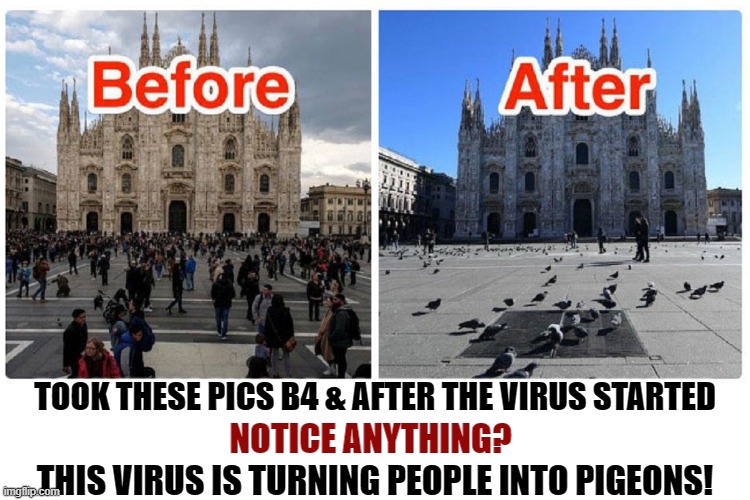 Coronavirus Facts They Don't Tell You | TOOK THESE PICS B4 & AFTER THE VIRUS STARTED; NOTICE ANYTHING? THIS VIRUS IS TURNING PEOPLE INTO PIGEONS! | image tagged in vince vance,before and after,coronavirus,people,pigeons,fake news | made w/ Imgflip meme maker