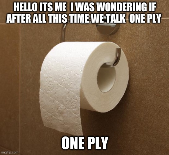 Toilet Paper | HELLO ITS ME  I WAS WONDERING IF AFTER ALL THIS TIME WE TALK  ONE PLY; ONE PLY | image tagged in toilet paper | made w/ Imgflip meme maker