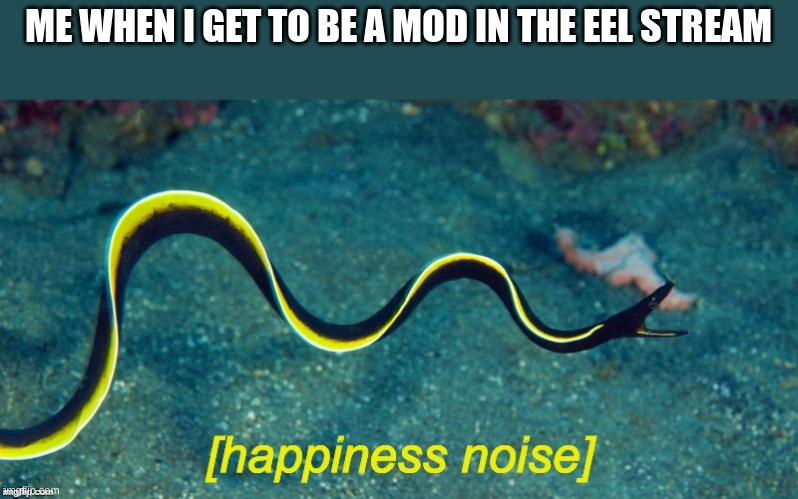 Happiness Noise Eel | ME WHEN I GET TO BE A MOD IN THE EEL STREAM | image tagged in happiness noise eel | made w/ Imgflip meme maker