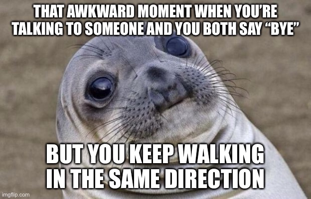 Awkward Moment Sealion | THAT AWKWARD MOMENT WHEN YOU’RE TALKING TO SOMEONE AND YOU BOTH SAY “BYE”; BUT YOU KEEP WALKING IN THE SAME DIRECTION | image tagged in memes,awkward moment sealion | made w/ Imgflip meme maker