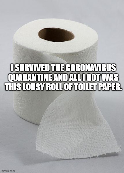 toilet paper | I SURVIVED THE CORONAVIRUS QUARANTINE AND ALL I GOT WAS THIS LOUSY ROLL OF TOILET PAPER. | image tagged in toilet paper | made w/ Imgflip meme maker