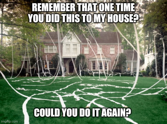 Toilet Paper house | REMEMBER THAT ONE TIME YOU DID THIS TO MY HOUSE? COULD YOU DO IT AGAIN? | image tagged in toilet paper house | made w/ Imgflip meme maker