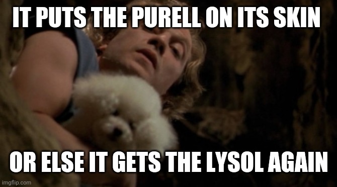 Silence of the lambs lotion | IT PUTS THE PURELL ON ITS SKIN; OR ELSE IT GETS THE LYSOL AGAIN | image tagged in silence of the lambs lotion | made w/ Imgflip meme maker