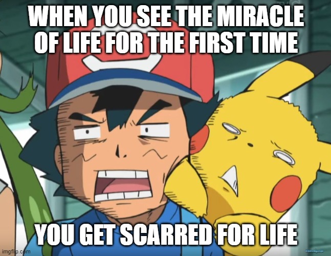 Pokemon Sun and Moon | WHEN YOU SEE THE MIRACLE OF LIFE FOR THE FIRST TIME; YOU GET SCARRED FOR LIFE | image tagged in pokemon sun and moon | made w/ Imgflip meme maker